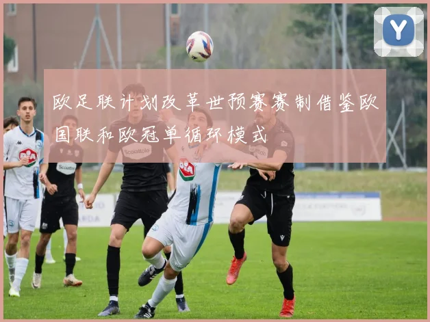 欧足联计划改革世预赛赛制借鉴欧国联和欧冠单循环模式